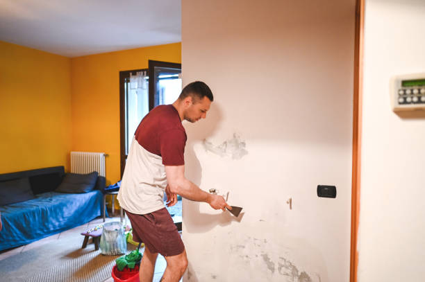 Best Attic Mold Removal  in Carrollton, MO
